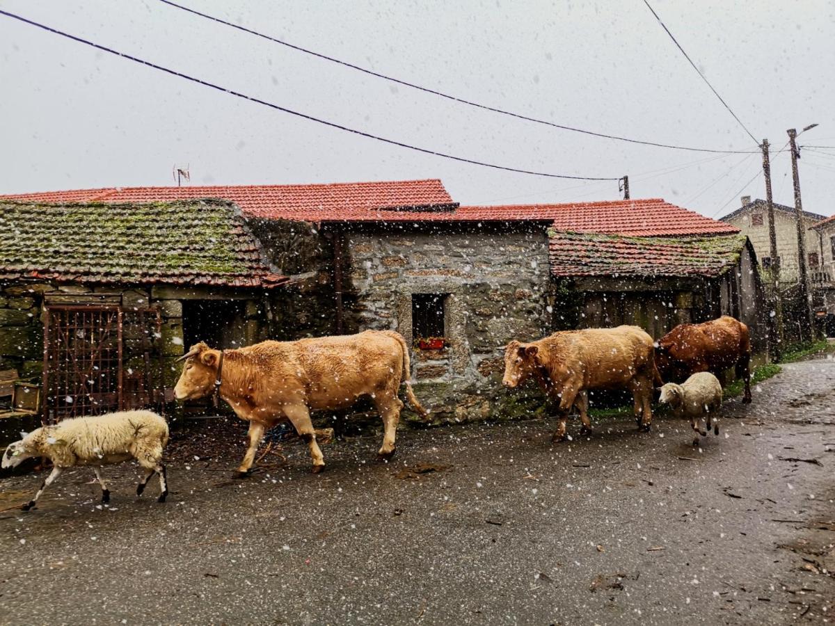 Casa Do Faqueiro De Casas Brioso Βίλα Outeiro  Εξωτερικό φωτογραφία